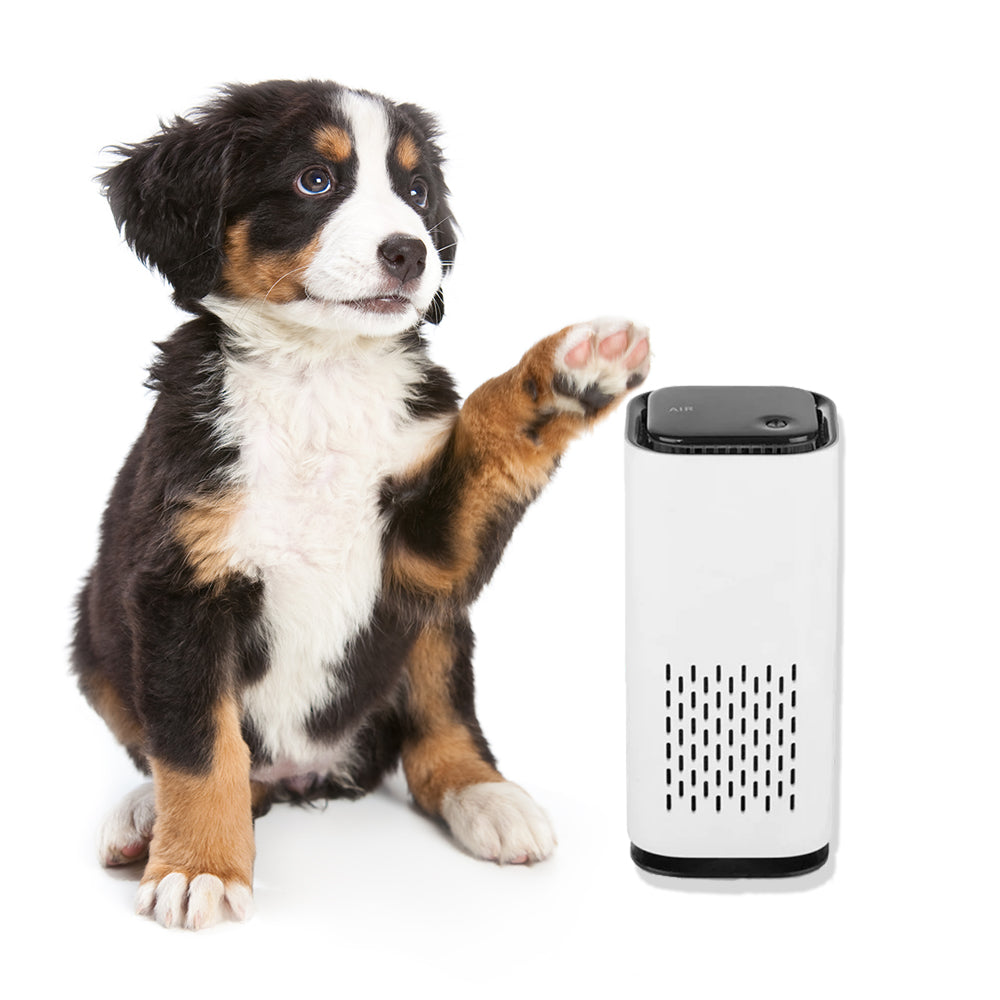 Pawsome™ Air Purifier with HEPA Filter