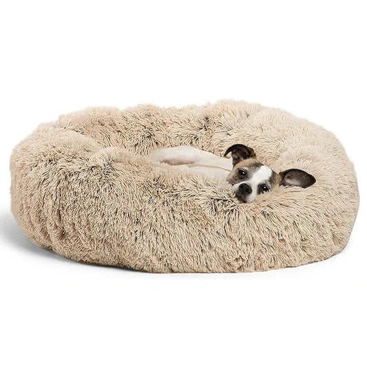 Pawsome™ ComfortHaven Orthopedic Dog Bed