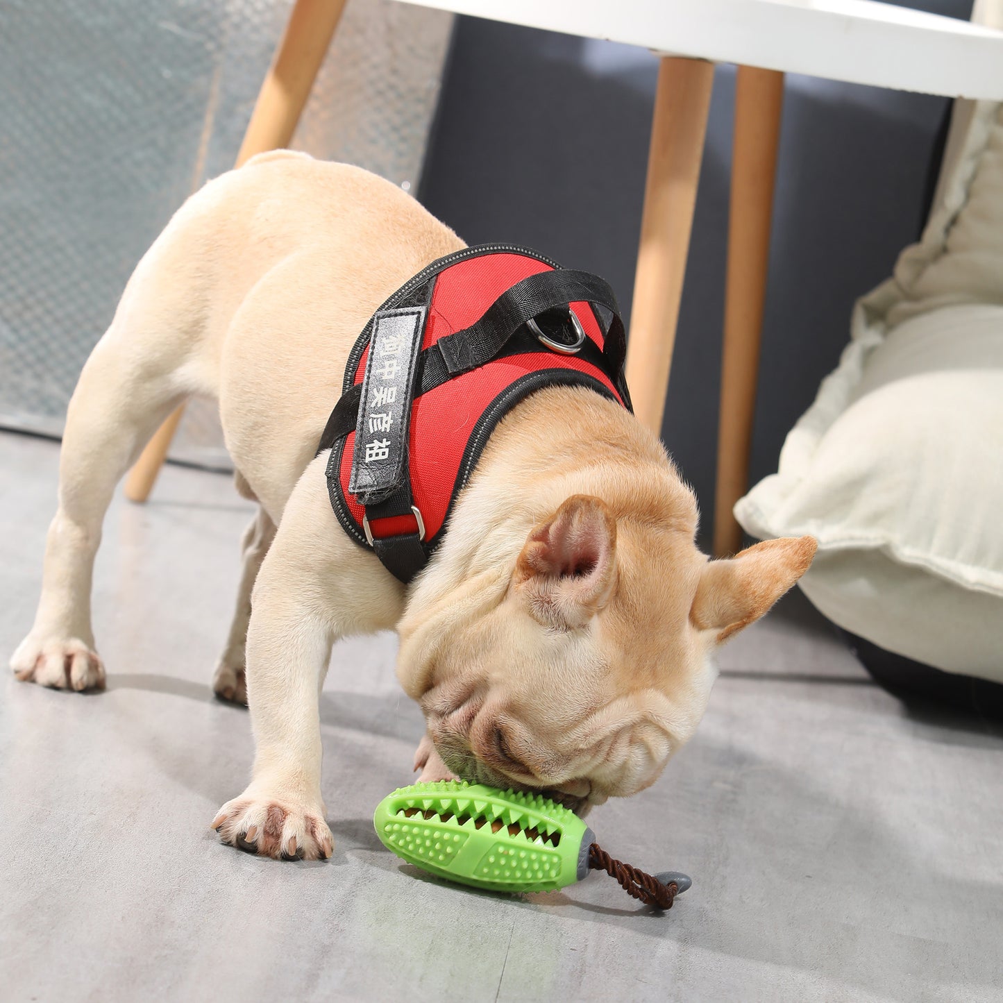 Dog Teeth Cleaning Toy