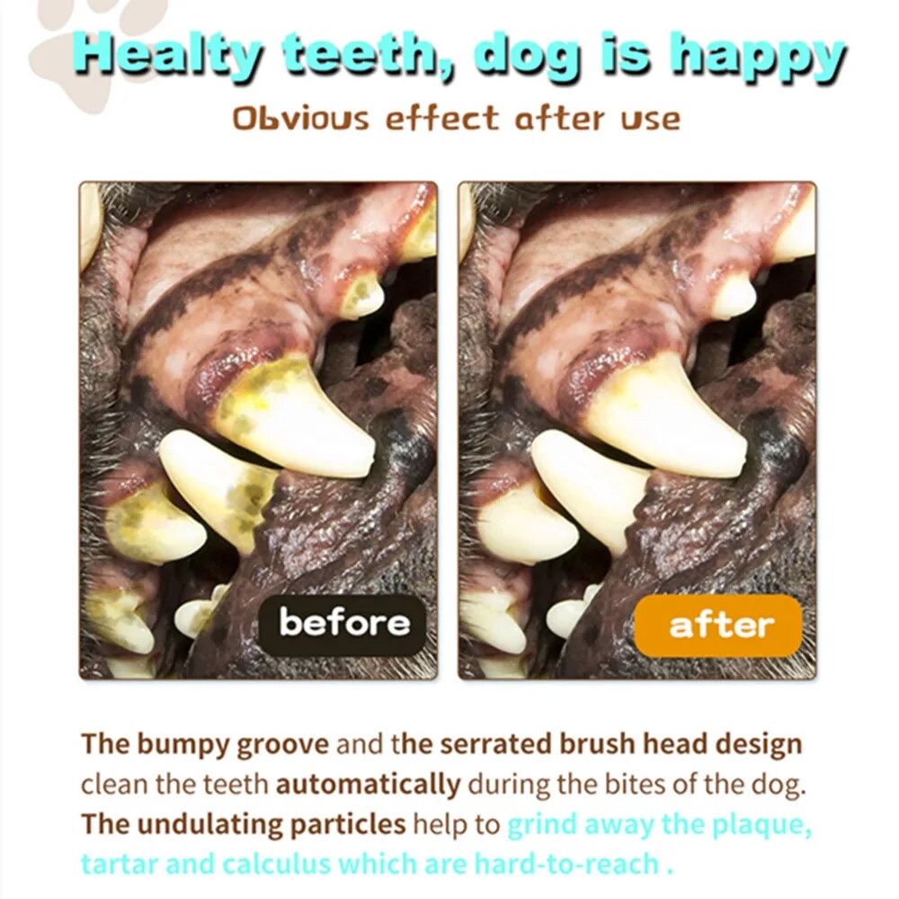 Dog Teeth Cleaning Toy