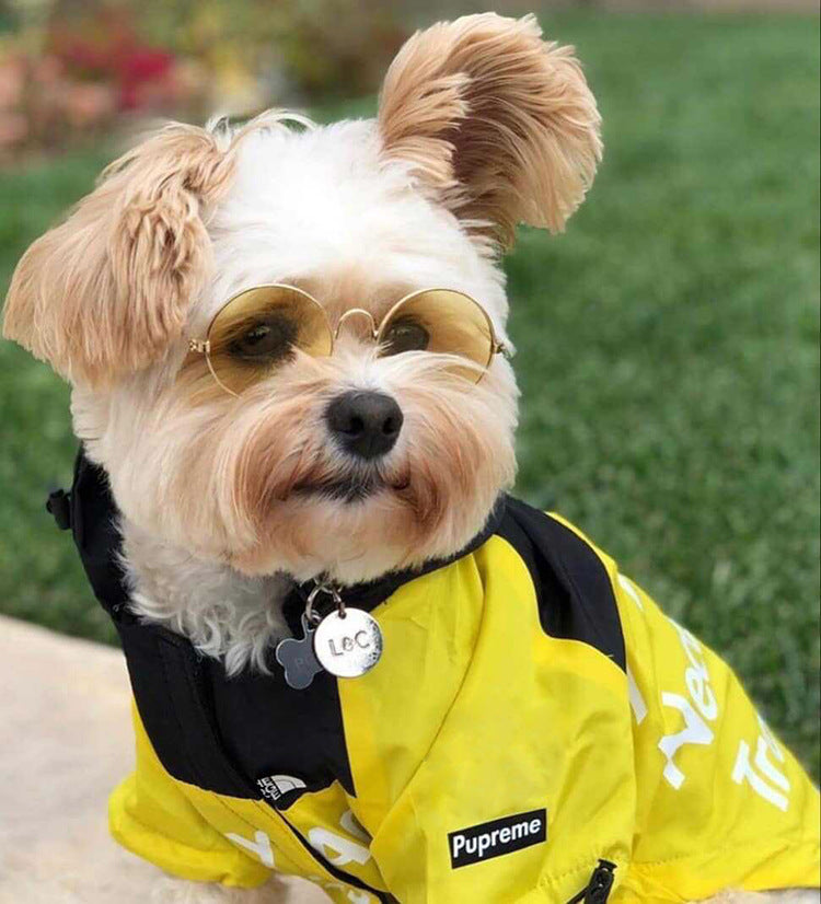 Yellow fashion dog jacket